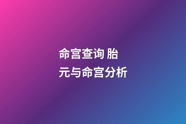 命宫查询 胎元与命宫分析